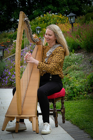 116 O'Carolan Festival Harp workshops 1st August