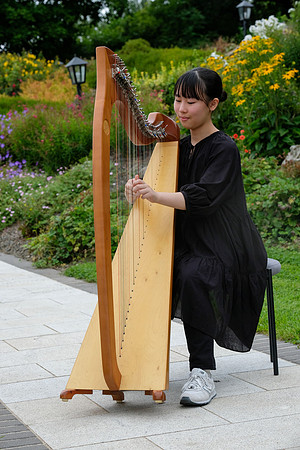 285 O'Carolan Festival Harp Competitions and Tour