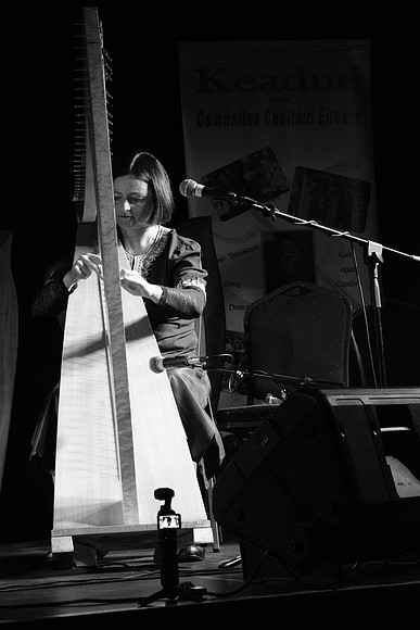 0090 Harps Together