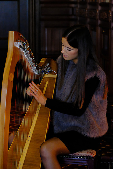 0016 O'Carolan Musicians