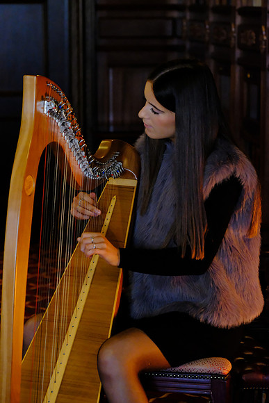 0014 O'Carolan Musicians