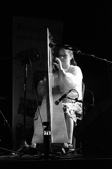 0051 Harps Together