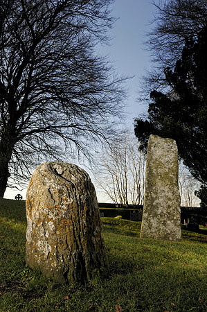 0090 Irish heritage