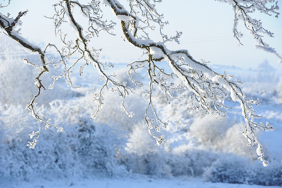 068 Ireland in the snow