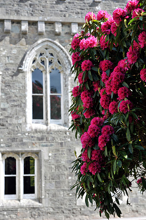 038 Ireland