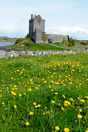 0047 Irish heritage