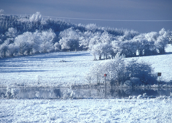 009 Snow David Knight