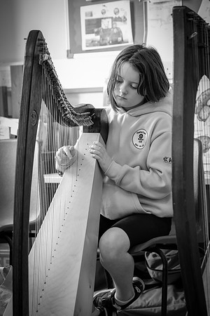 75 O'Carolan Festival Harp workshops 1st August