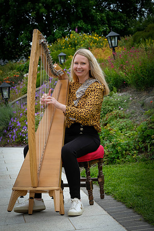 115 O'Carolan Festival Harp workshops 1st August