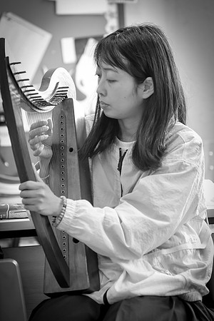 85 O'Carolan Festival Harp workshops 1st August