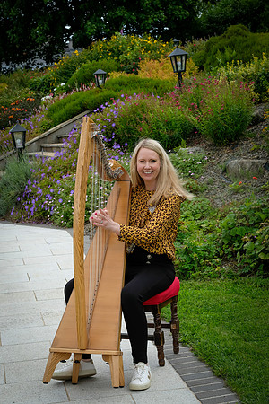 113 O'Carolan Festival Harp workshops 1st August