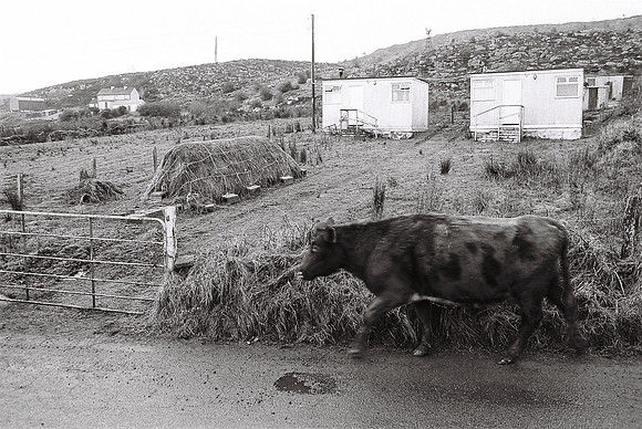 210_ AGRINA