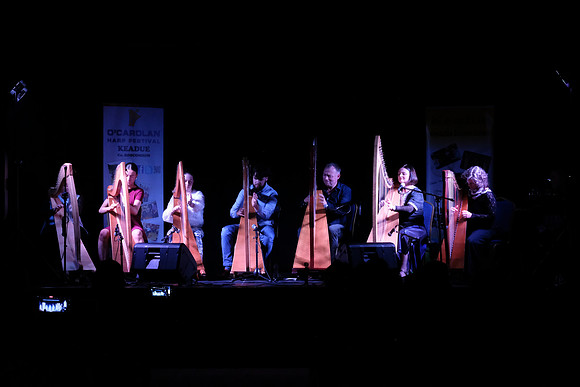 0165 Harps Together