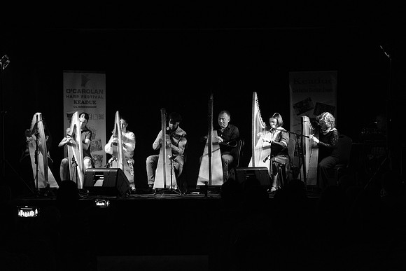 0167 Harps Together
