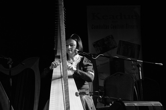 0066 Harps Together
