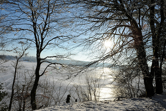 130_ AGRINA